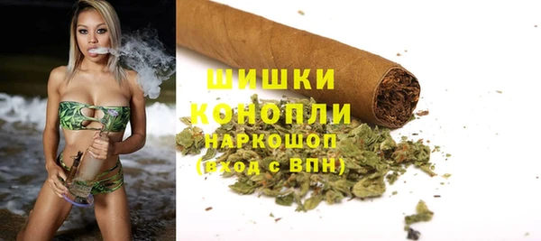 дмт Белокуриха