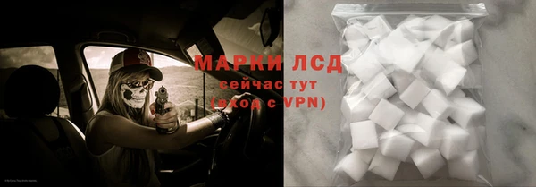 дмт Белокуриха