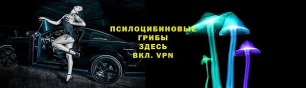 дмт Белокуриха