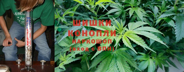 дмт Белокуриха
