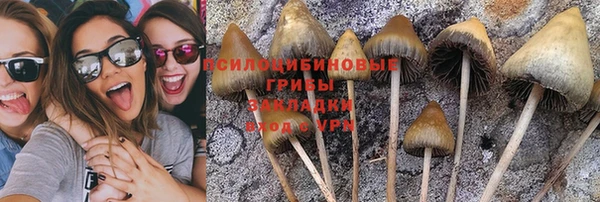 герыч Беломорск
